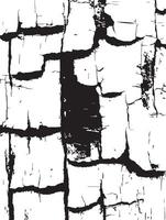 Cracked Texture Abstract Black and White Pattern Background vector