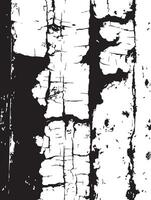 Grunge Texture Black and White Abstract Background vector