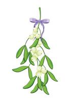 Mistletoe branch in cartoon style. Illustration of mistletoe branch with green leaves, light berries tied with purple bow with ribbons, isolated on white background. Christmas decoration. vector