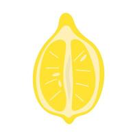 Half of a ripe lemon. illustration. vector