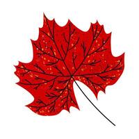 Maple autumn leaf. Bright stylized autumn leaf of maple vector