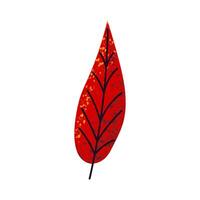 Autumn red leaf. Bright stylized autumn leaf vector