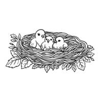 bird nest coloring page vector
