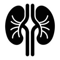 a black and white kidney icon vector