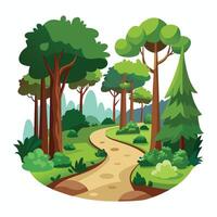 illustration of a forest path in the forest vector