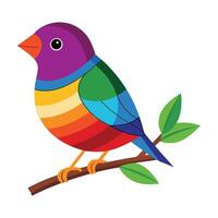 rainbow bird on a branch vector