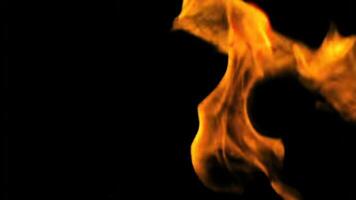 Close Up Of Bright Orange Flames Flickering Against Black Background Creating a Fiery and Dynamic Visual with a Sense of Warmth and Heat. seamless looping 4k animation background video
