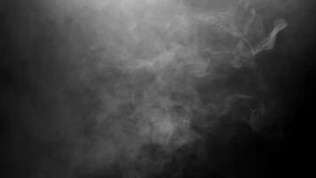 Dramatic White Smoke on a Black Background creating an Abstract and Mysterious Atmosphere with Soft Lighting for Overlay Effects. seamless looping 4k animation background video