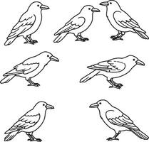 Six Crows in Various Poses A Serene Black and White Line Drawing Illustration - Professional digital artwork with vibrant colors and detailed composition vector