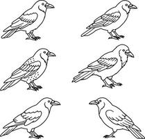 Six Elegant Line Drawings of Crows in Various Poses, Isolated on White Background, Minimalist Style, Monochrome Illustration vector