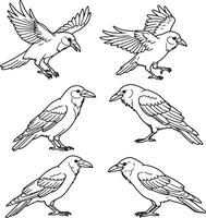 Six Elegant Line Drawings of Crows in Flight and at Rest A Collection of Dark Bird Illustrations vector