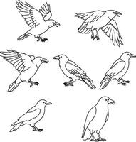 Six Elegant Line Drawings of Crows in Flight and at Rest, Exhibiting Grace and Dark Mood vector
