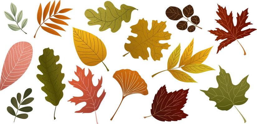 collection of textured autumn leaves in warm fall colors. Hand-drawn set of seasonal foliage for poster, banner, card, print and cozy design element. Decorative clipart with rustic fall mood
