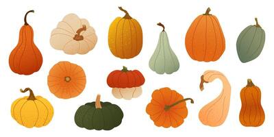 set of colorful pumpkins and gourds, textured flat style Autumn harvest vegetables for seasonal card, fall print, packaging, thanksgiving poster and cozy rustic decor for farm or kitchen themes vector