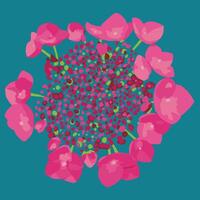 Abstract illustration of a hydrangea flower with vibrant pink petals and a detailed dotted center on a teal background, evoking a bold and artistic floral style. vector