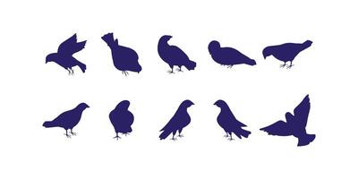 illustration of pigeons in flight and at rest as silhouettes, representing peace, freedom, city life, and spiritual symbolism in a clean graphic style vector