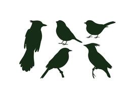 Assorted bird silhouette set featuring flying and perched birds in various shapes and postures, perfect for nature themes, wildlife art, and decoration vector