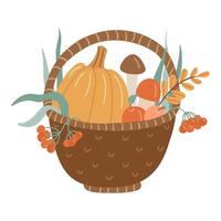 Autumn harvest basket with pumpkin, mushrooms, apples, berries, and fall foliage. Hand drawn flat illustration. vector