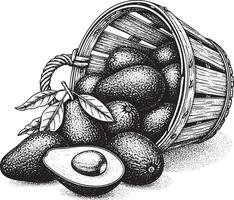 Basket of avocados with one cut in half silhouette vector