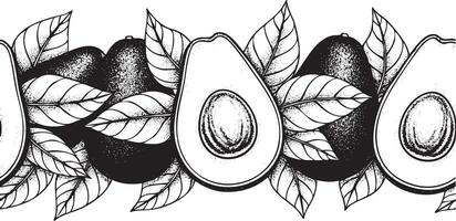 Seamless pattern of avocados and leaves in a detailed black and white silhouette vector