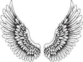 Illustration of a pair of wings in vintage stipple engraving style isolated vector