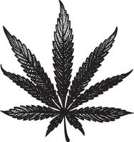 Marijuana leaf illustration in vintage stipple engraving style isolated vector