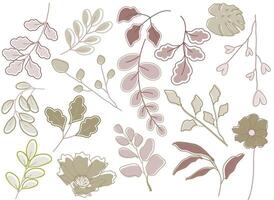 Botanical Line Art Leaves and Flowers Collection vector