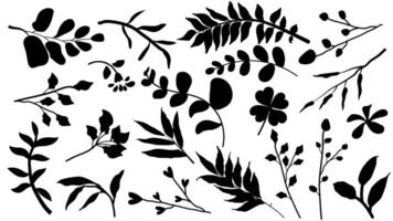 Botanical Leaf Silhouettes Collection vector