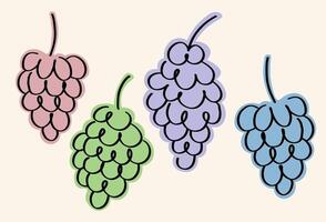Set with coloured sketch Grapes. Hand drawn illustration with bunch of Grapevine berries. Food, vine, dry raisins, healthy food, desert, harvest fruit. Concept for label, icon, card, logo print vector