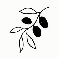 Olive branch plant ink sketch on isolated background. Minimalistic sketch logo for virgin oil, Italian Greek food ingredient, cosmetic in line art style. Illustration, design element for label vector