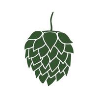 Cone malt hand sketch. Hand drawn brewery plant. Illustration on isolated white background. Blossoming hop flower seed, cereal, beer ingredient. Design element for logo, label, card, bar vector