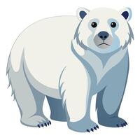 Polar bear on white background vector