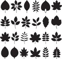 Twenty Four Black Silhouettes of Various Leaves and Branches Illustration Botanical Graphic Design Elements Set vector