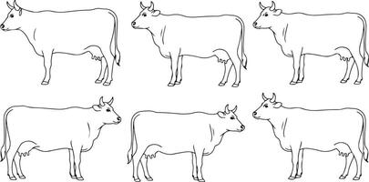 Six Black and White Line Drawings of Cows in Profile and Three Quarter Views Simple Cattle Illustrations Traced Outlines Farm Animals vector