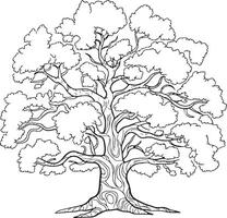Detailed Line Art Silhouette of a Large Deciduous Tree with Abundant Foliage and a Textured Trunk Showing Intricate Branching Pattern and Root System vector