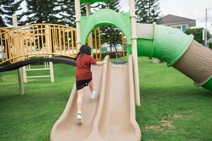 Child Playing Joyfully on Playground Slide Surrounded by Green Grass and Trees in a Bright Sunny Day, Elevating Outdoor Play Experience photo