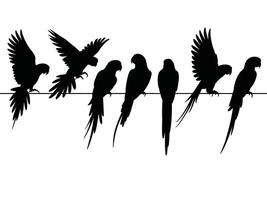 Set of parrot black silhouette, Parrot Silhouette Set vector