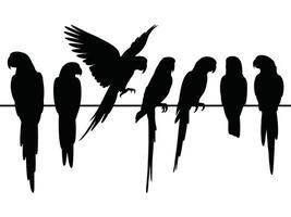 Set of parrot black silhouette isolated on a white background vector