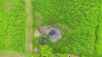 Drone shot of a herd of buffalo relaxing in a water pond in the middle of a lush green field during rainy season in the countryside. video