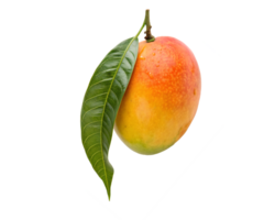 A single ripe mango with a green leaf, isolated on a transparent background png