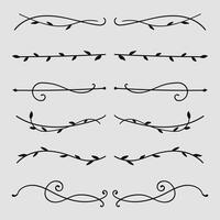 Nature floral vines line dividers and text separators collection. vector