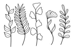 Hand drawn line art botanical leaf and floral elements collection. illustration. vector