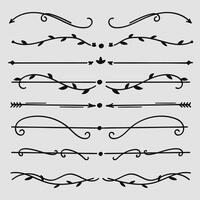 Hand drawn nature floral vine line divider for text layout separator decoration element set. illustration vector