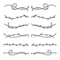 Nature floral vine line divider hand drawn for text layout separator decoration element set vector