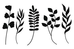 Botanical black leaf and branch silhouette collection. illustration. vector