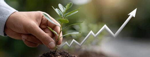How to grow your business with a business plan photo