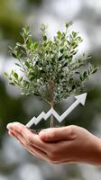 Hand holding a tree with an upward arrow and a graph photo