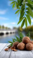 Walnuts on wooden table with river background photo