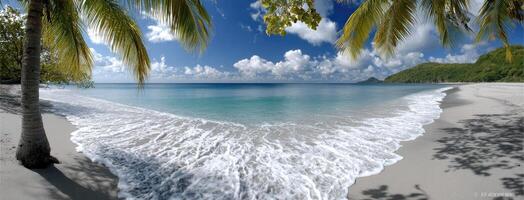 A beach with palm trees and waves photo