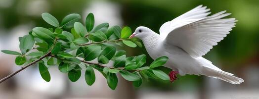 A white dove is flying over a green leaf photo